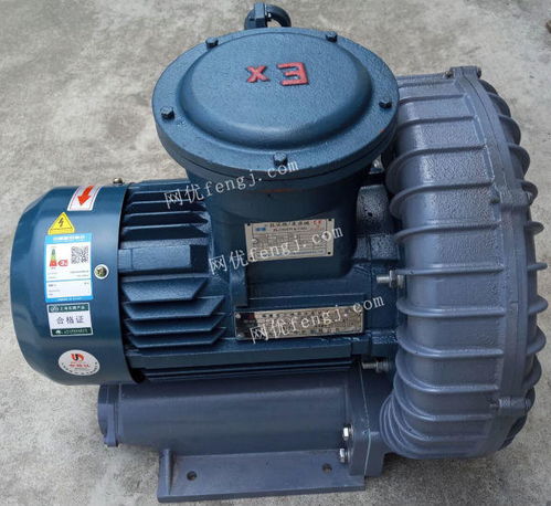 ip55防塵 防水 防爆鼓風(fēng)機(jī)選